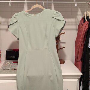 Sage Green CALVIN KLEIN Tulip Sleeve Sheath Dress - Size 4